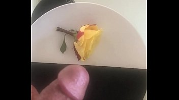 Yin….Yang and Wang (POV)