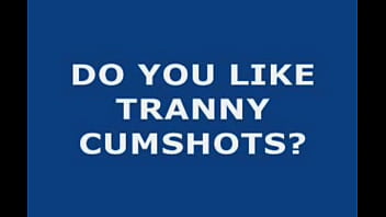 Tranny, Shemale, Trans, Transexual, Trany, Trannies, Sheboy, Crossdresser, Transsexual, Shemales, La – Shemale – 2025 – Passionate – Show – Video 4195399