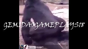 Truco Valendo O Toba (vou Ter Que Dar O Cu) Olha No Que Deu!!!