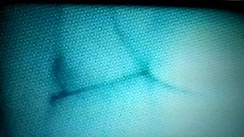 La, Con, Verga, Reyes, Edith, Adentro, Despierta – Unknown – 2025 – Sexy – Performance – Video 4117062