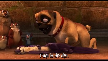 phi-vu-hat-d. – Pv