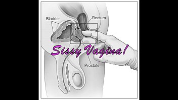 Sissy Diagnosis Perfect