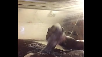 Masturbation, Shower, Quickie, Bbc, Soloboy – Unknown – 2025 – Intense – Performance – Video 3856916