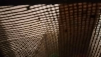 Sexy Bhabi In Bathroom – bathroom, toilet, hidden-camera, sexy-bhabi – Video 3847362