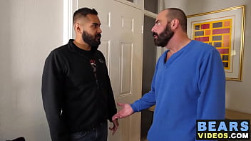 Hairy Bear And His Bottom Cub Loves Has Wild Ass Fuck Fest