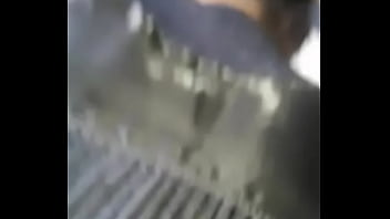 Chamula Disfritando D.