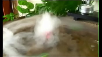 Unknown – 2025 – Amazing – Scene – Video 6592332