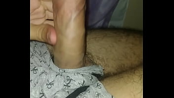 18, Brasil, Coroa, Rosinha, Pinto, Novinho, Minhas-gerais – Exotic – 2025 – Wild – Show – Video 3691567