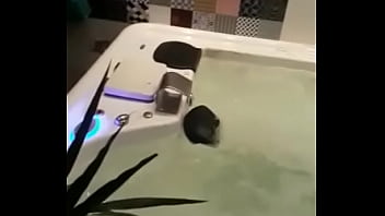 Pinto, Mostrado-o-pau, Pau-rads – Unknown – 2025 – Wild – Session – Video 3688536