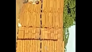 Brothers Fudendo Gostosinho Nas Telhas