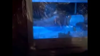 Tributo A Sol Pérez