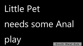 Little Pet Meets Master For The First Time