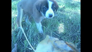 Unknown – 2025 – Amazing – Experience – Video 6581962