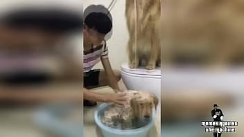 O Que é Golden Shower