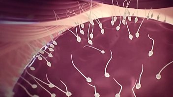 It’ Easy And Quickly Make A B.