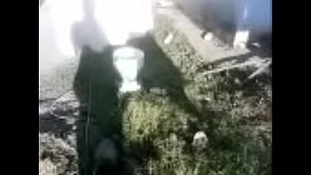 Unknown – 2025 – Hot – Experience – Video 6577314