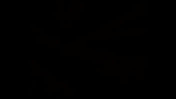 Montag, Sonntags – Unknown – 2025 – Passionate – Experience – Video 3408731