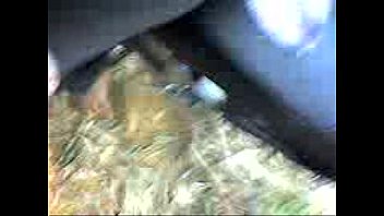 Unknown – 2025 – Wild – Show – Video 6586592