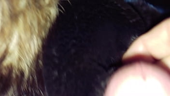 Jacket, Soloboy, Fur-hood – Unknown – 2025 – Hot – Experience – Video 3077932