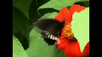 Unknown – 2025 – Passionate – Session – Video 6577709