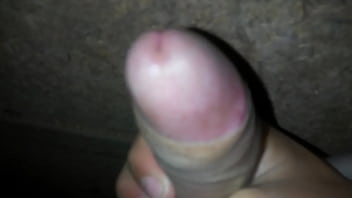 Polla Que Tal Esta ?