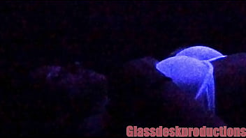 *_ Black-light Secret Model