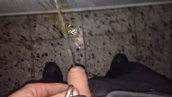 Ich Pisse Oft In Den Hausgang