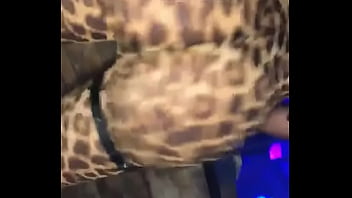 Tiger Prints Twerking