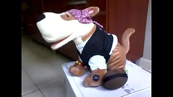 Meu Cão Spok Pirata