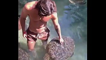 Tui mà là con rùa, tui đớp ku ảnh liền!