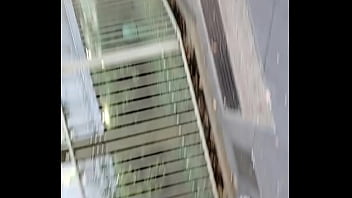 Cameltoe, Frontal – Unknown – 2025 – Wild – Show – Video 2801681