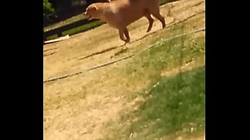 Frida Se Divertindo Com Lipe