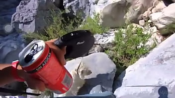 Doggystyle, Robot, Perro, Volando – Unknown – 2025 – Passionate – Show – Video 2914742