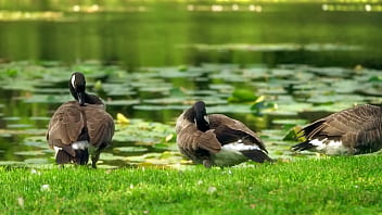 Test, Tyst-test – Unknown – 2025 – Sexy – Performance – Video 2913939