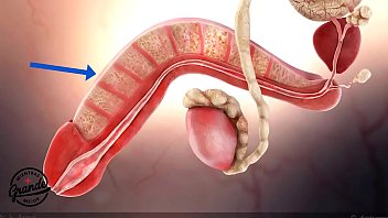 Como Funciona Bathmate Para Engrosar, Alargar Y Mejorar La Erecci_n Del Pene