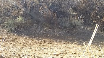 Jacking-off, Soloboy, Dick-flashing – Unknown – 2025 – Wild – Scene – Video 2809062