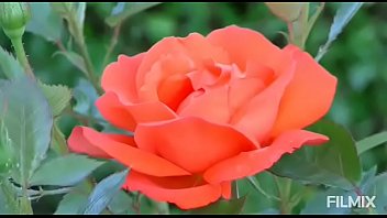 Flor, Arte – Unknown – 2025 – Incredible – Scene – Video 2809928