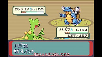 【ゆっくり実況】全てのポケモンが出現するサファイアpart17【改造ポケモン】