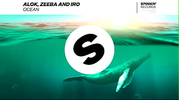 Alok, Zebba And Iro – Ocean