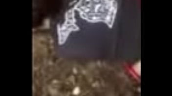 Forest, Fun – Unknown – 2025 – Passionate – Session – Video 2328017