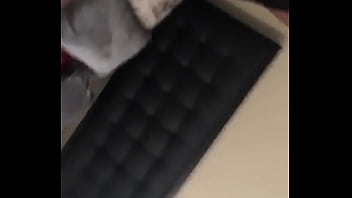 Beating This Twitter Bitch Pussy Up