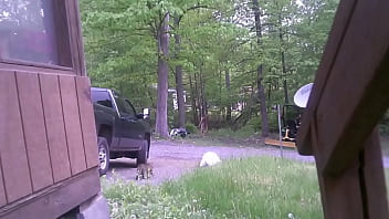 Outdoor, Naked, Public, Nude, Gay, Outside, Fun, Trash, Exhibition – Gay – 2025 – Hot – Show – Video 2141390