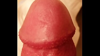 Teen, Cock, Handjob, Closeup, Dick, Orgasm, Penis, Master, Big-cock, Big-dick, 精子, ちんこ, 精液, 巨根, 亀頭 – Teen – 2025 – Wild – Show – Video 1922934