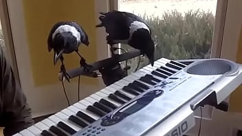 ⁣____________ ___________ - Video 6256927