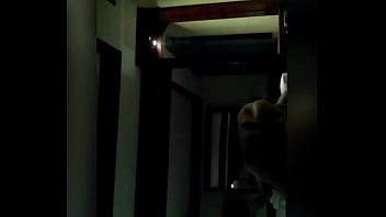 Plaza, Saltillo – Unknown – 2025 – Amazing – Experience – Video 1832663