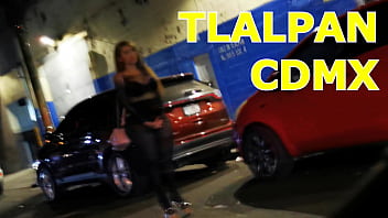 Paseo En Tlalpan Cdmx