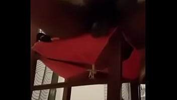 Lesbian, Black, Sucking, Amateur, Wet, Teenie, Masturbation, Big-dick, Black-cock, Black-teen, Niger – Lesbian – 2025 – Passionate – Show – Video 1744212