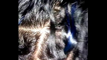 Latina Giving Sloppy Head – latina, blowjob, florida, 239, natural-tits, swfl – Video 1689247