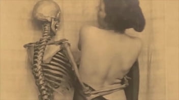 Dark Lantern Entertainment Presents _looking Good For Her Age_ – milf, mature, hairy, mom, retro, vintage, hairy-pussy, vintage-blowjobs, vintage-granny, retro-fucki – Video 1739767