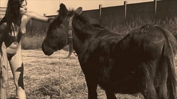 Dark Lantern Entertainment Presents – hairy, retro, vintage, beast, hairy-pussy, natural-tits, beastial, zoological – Video 1663362